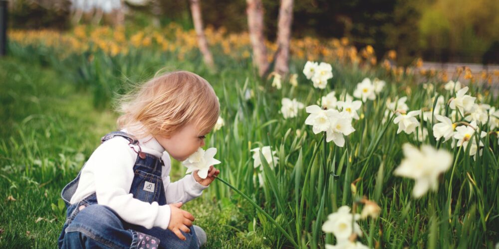 small child smelling a flower